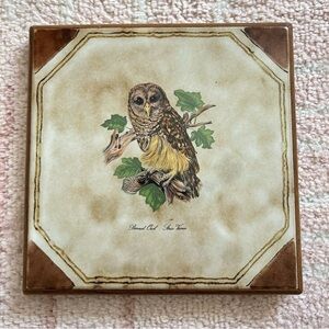 Owl Wall Art Tile Trivet Art 8.5”x8.5”